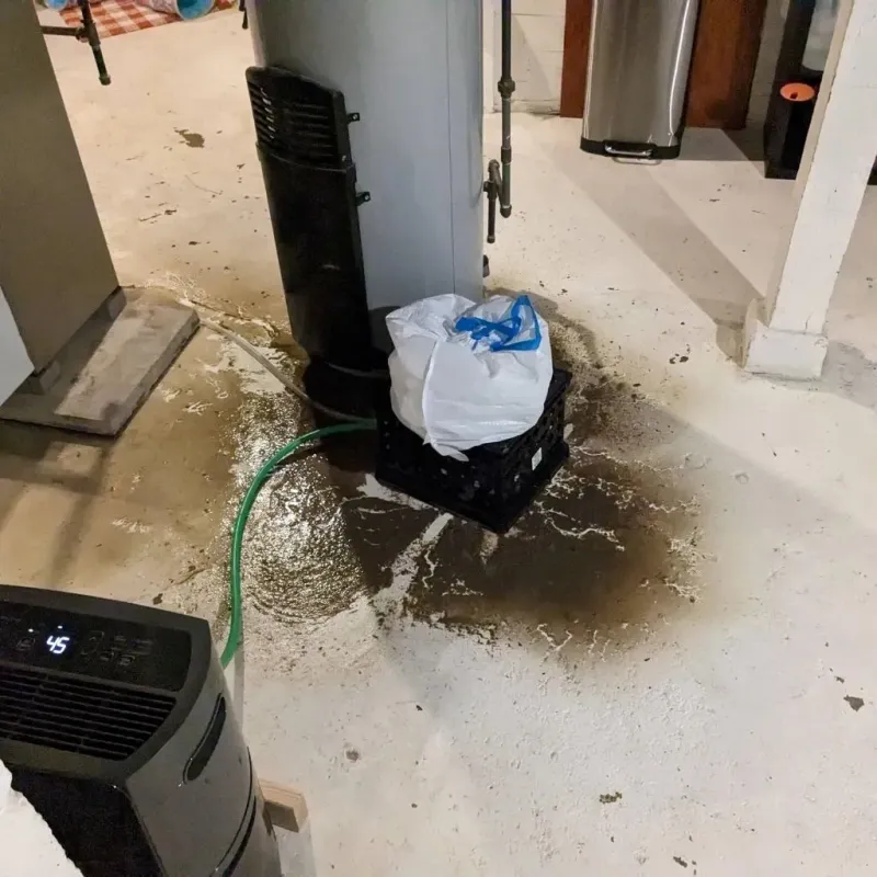 Sewage Backup Cleanup Service in Narberth, PA